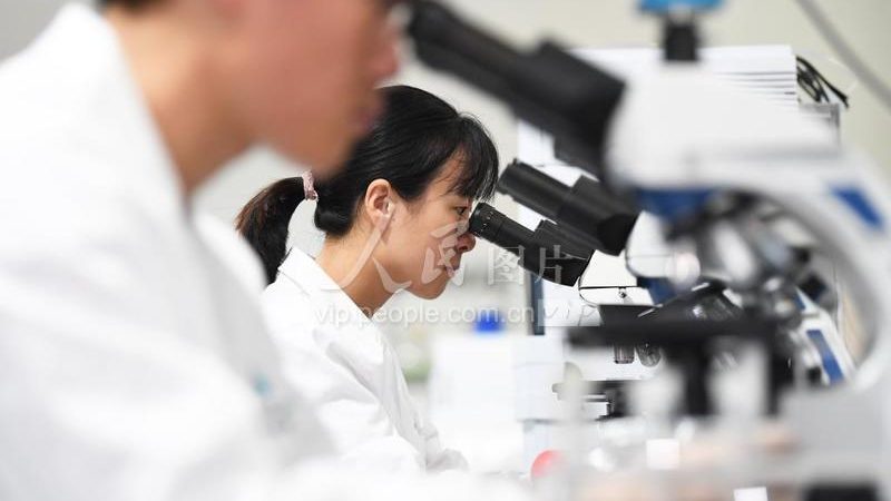 抗体产品质检报告编号查询，揭秘合规之路