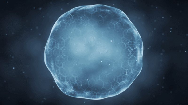 基因检测助力运动健康，揭秘运动基因检测厂家直销的奥秘**