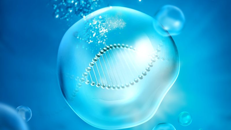 生物试剂代工：揭秘背后的品质与合规之道**