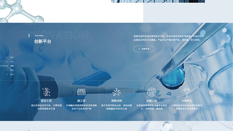 CDMO行业：揭秘其优缺点，助力医药研发高效前行