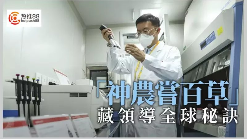 酶制剂代理加盟，成功背后的关键因素**