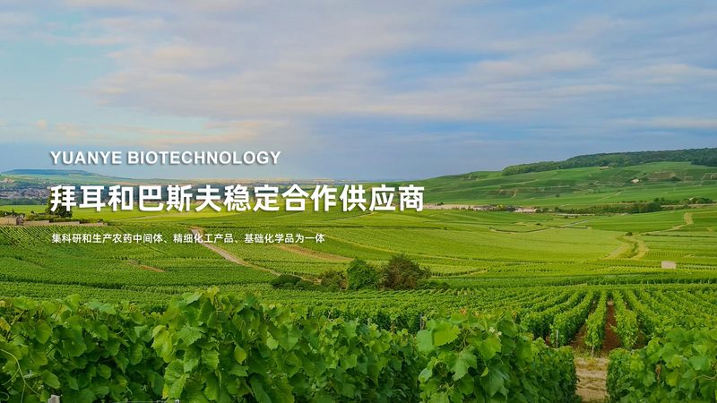 离心管OEM代工：揭秘生物实验中的隐形英雄**
