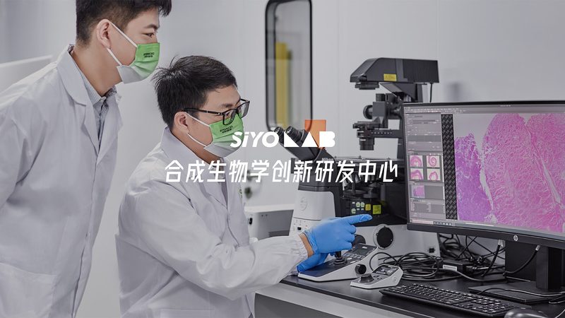科研用DNA连接酶：揭秘其关键作用与选型要点**