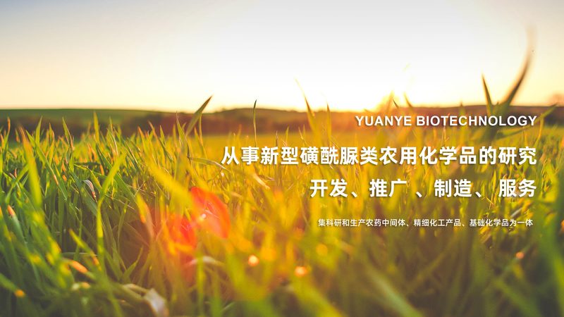 生物制品出口报关：那些容易踩坑的隐性雷区