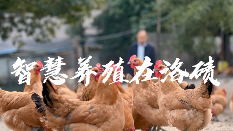 生物试剂采购平台物流配送：效率与合规的双重考量