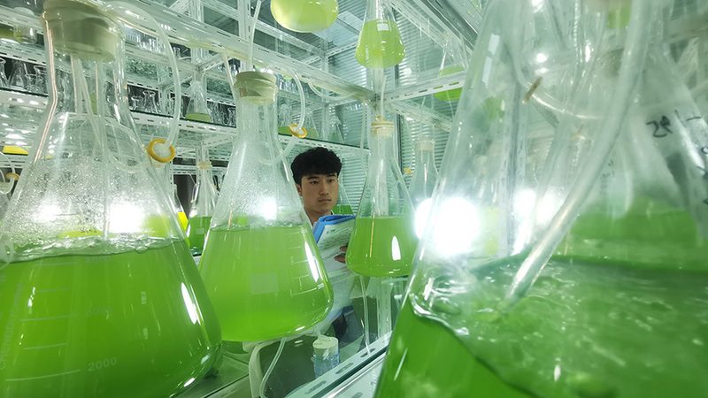 提升cro转化率：揭秘生物制药领域的转化奥秘